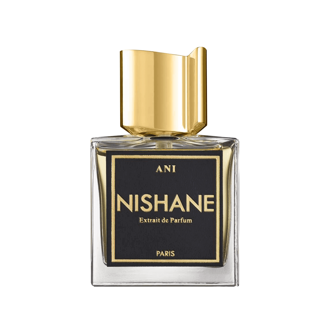 Nishane Ani 100 ml
